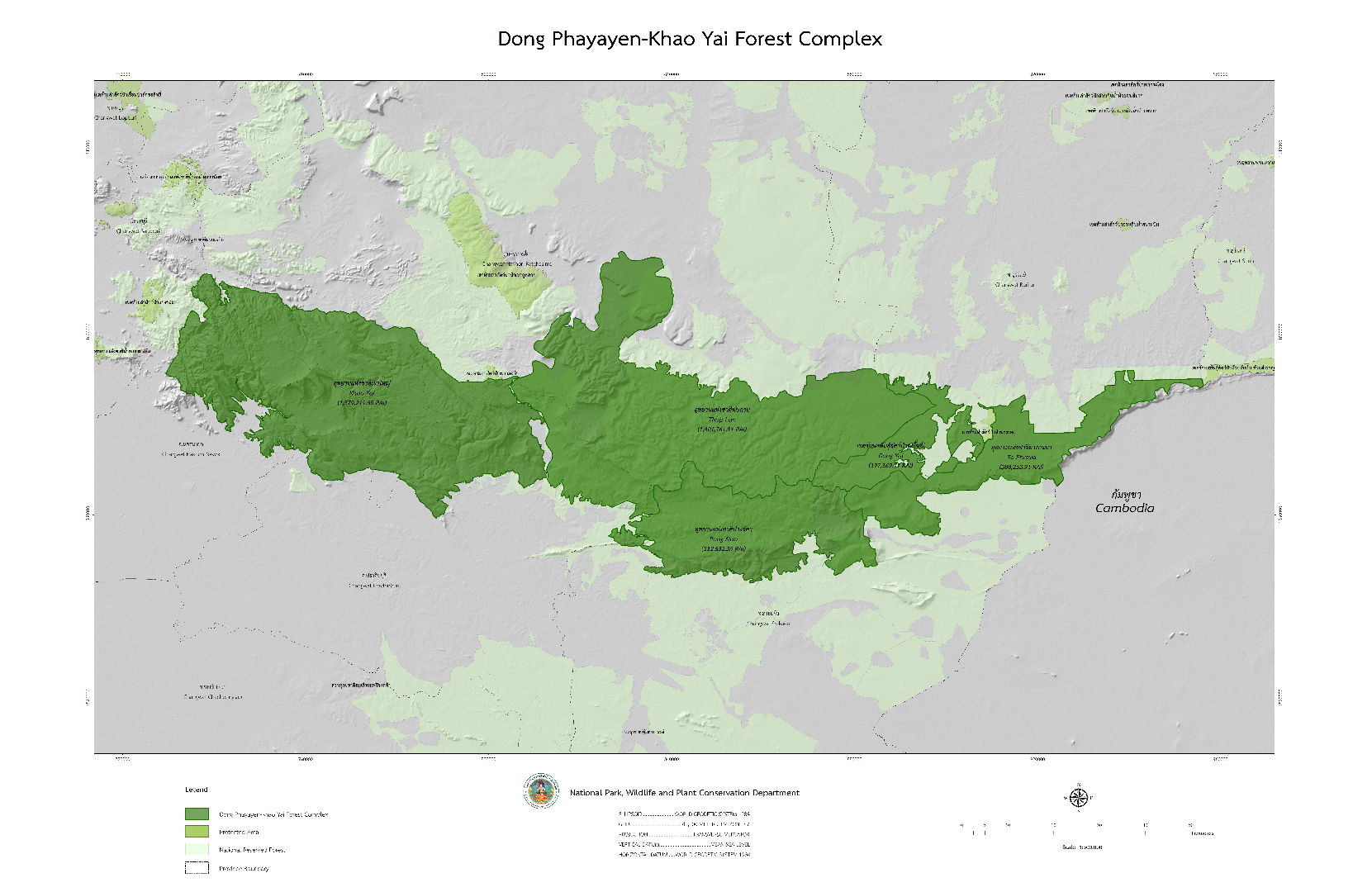 Wildlife Thailand - Dong Phayayen - Khao Yai