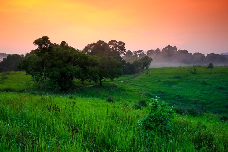 Get to know Khao Yai